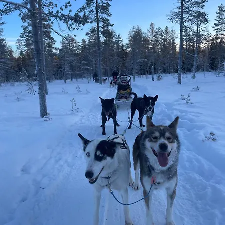 Saeterasen Hytter & Camping Trysil Extérieur photo