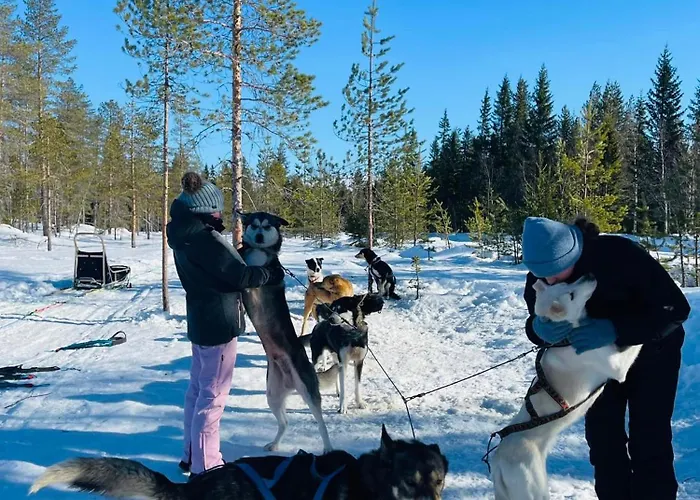 Saeterasen Hytter & Camping Trysil