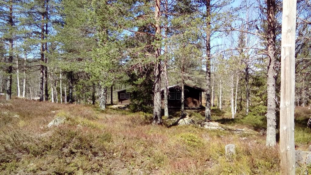 Camping Saeterasen &