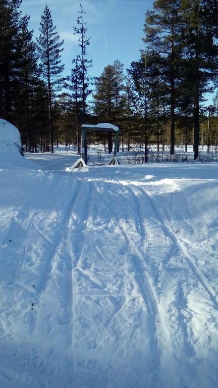 Saeterasen & 2* Trysil