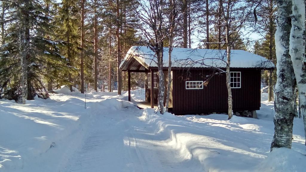 Saeterasen & Camping