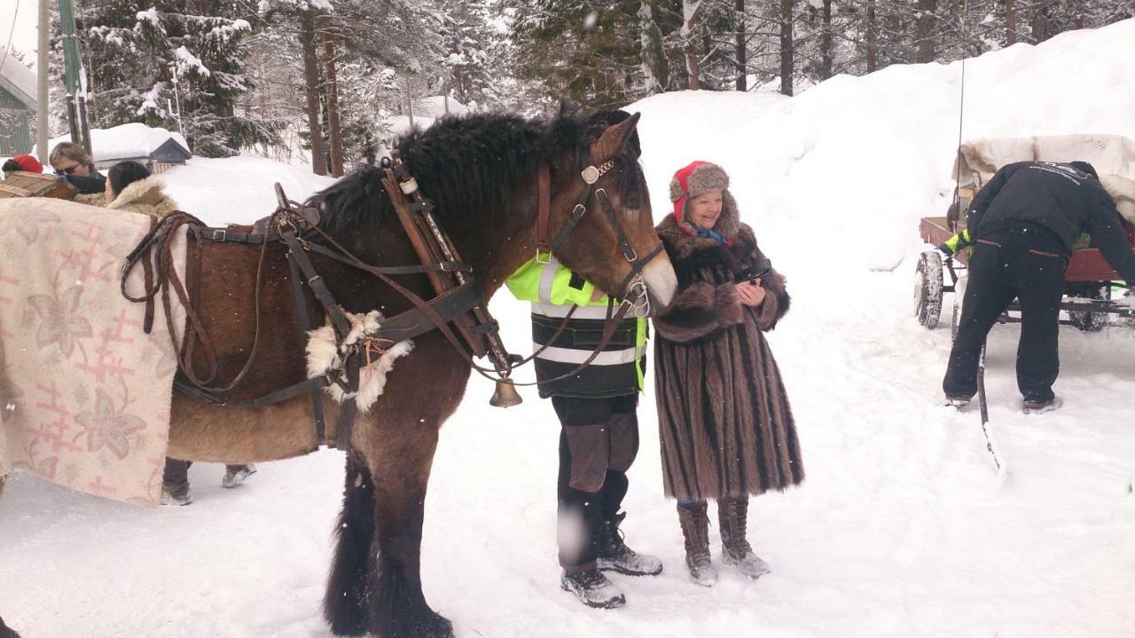 Camping Saeterasen & Trysil